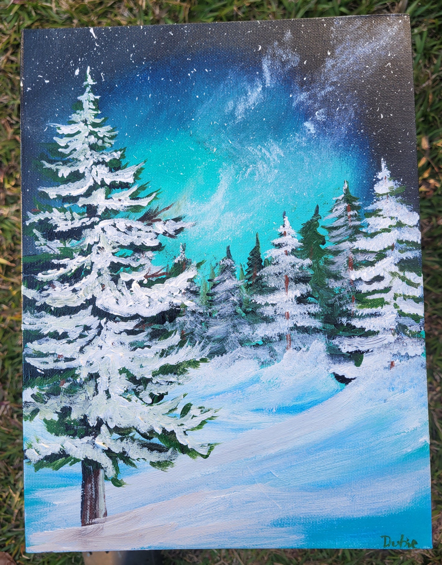 Winter wonderland
